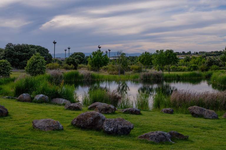 Espacio forestal "El Bosque"