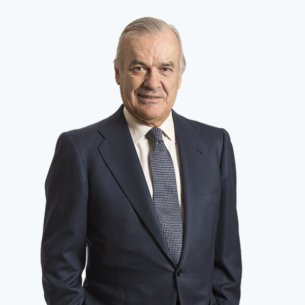 D. Rodrigo Echenique Gordillo