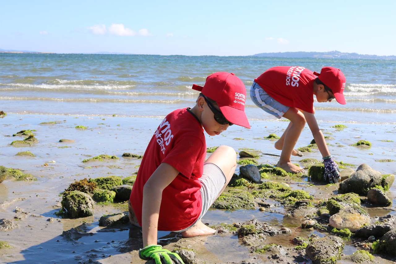 Volunteers