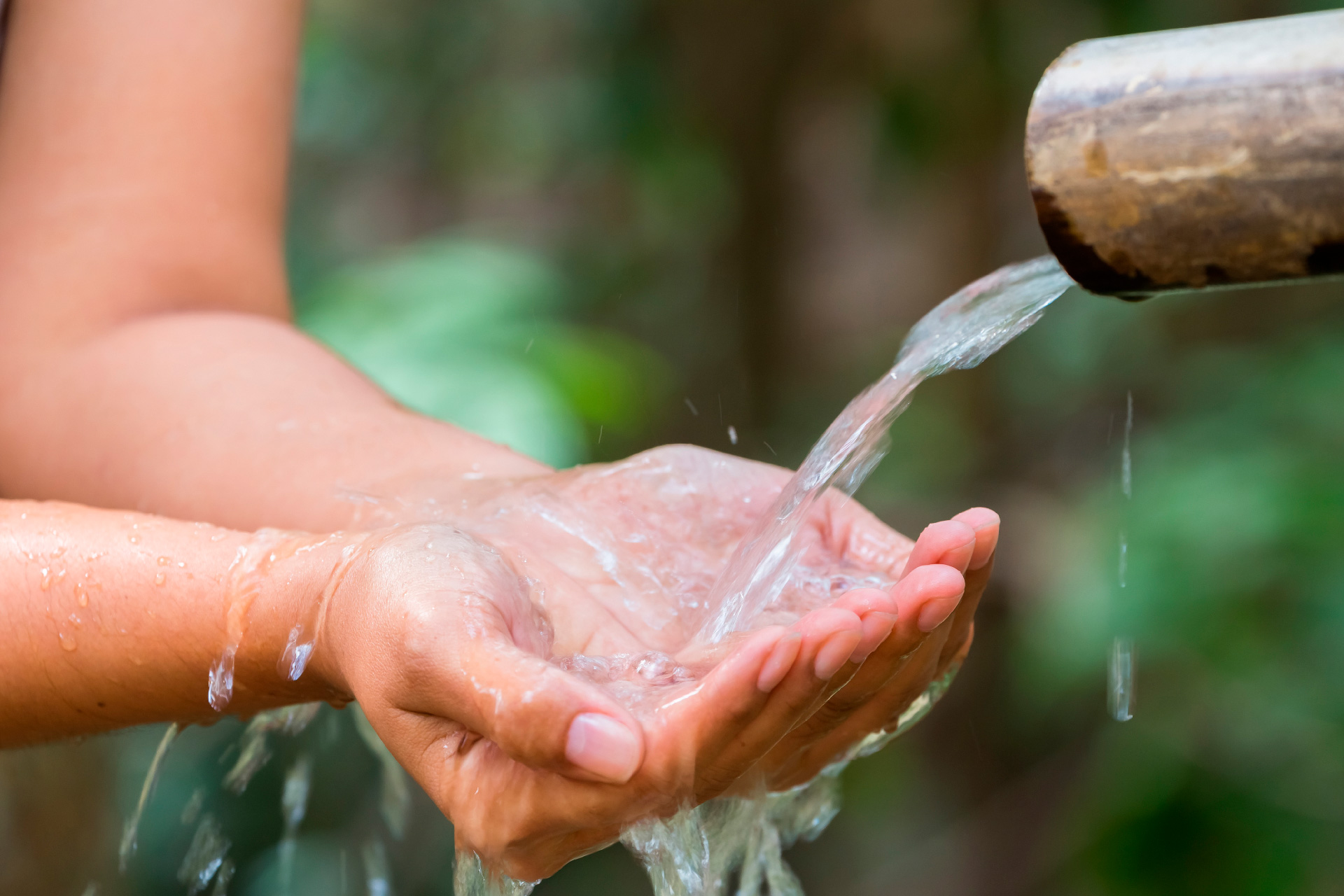 Fraseología Claire Magnético Ahorrar agua: un hábito sostenible con nuestro planeta