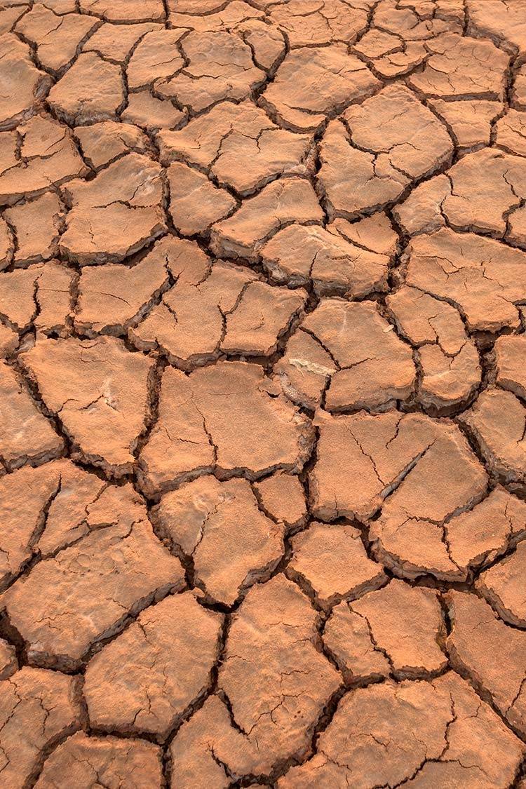 The Impact of Climate Change on Daily Life