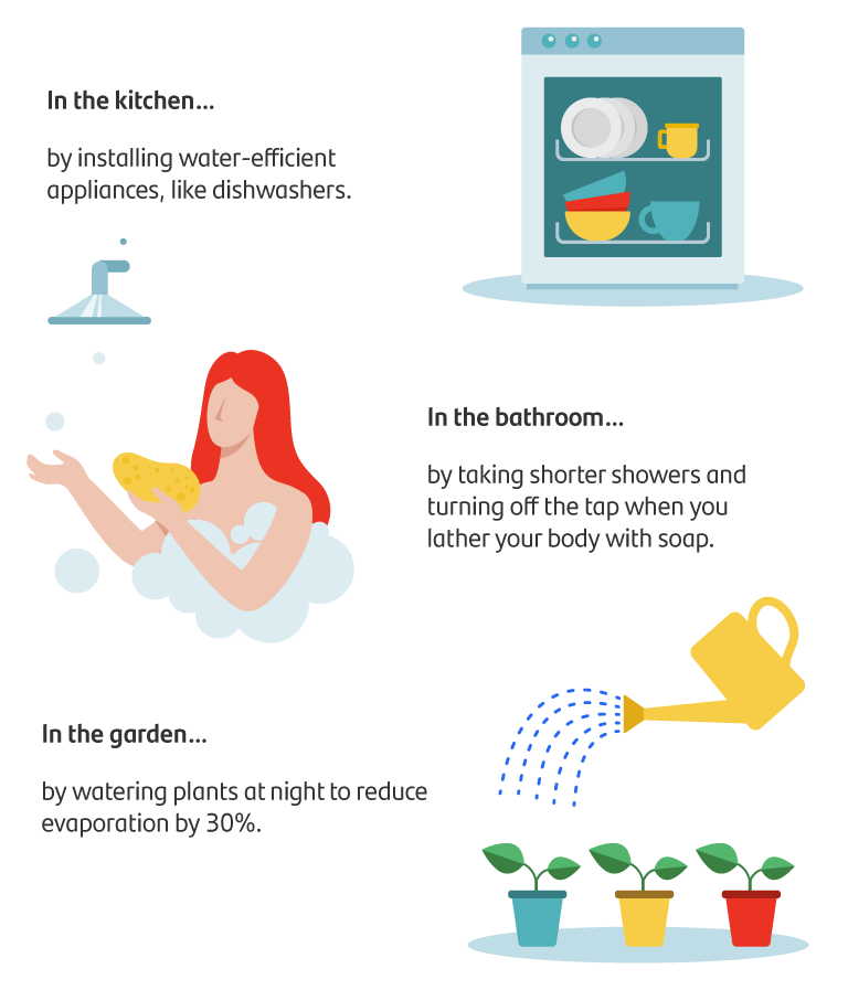 Revamp Your Garden with Water-Efficient Practices