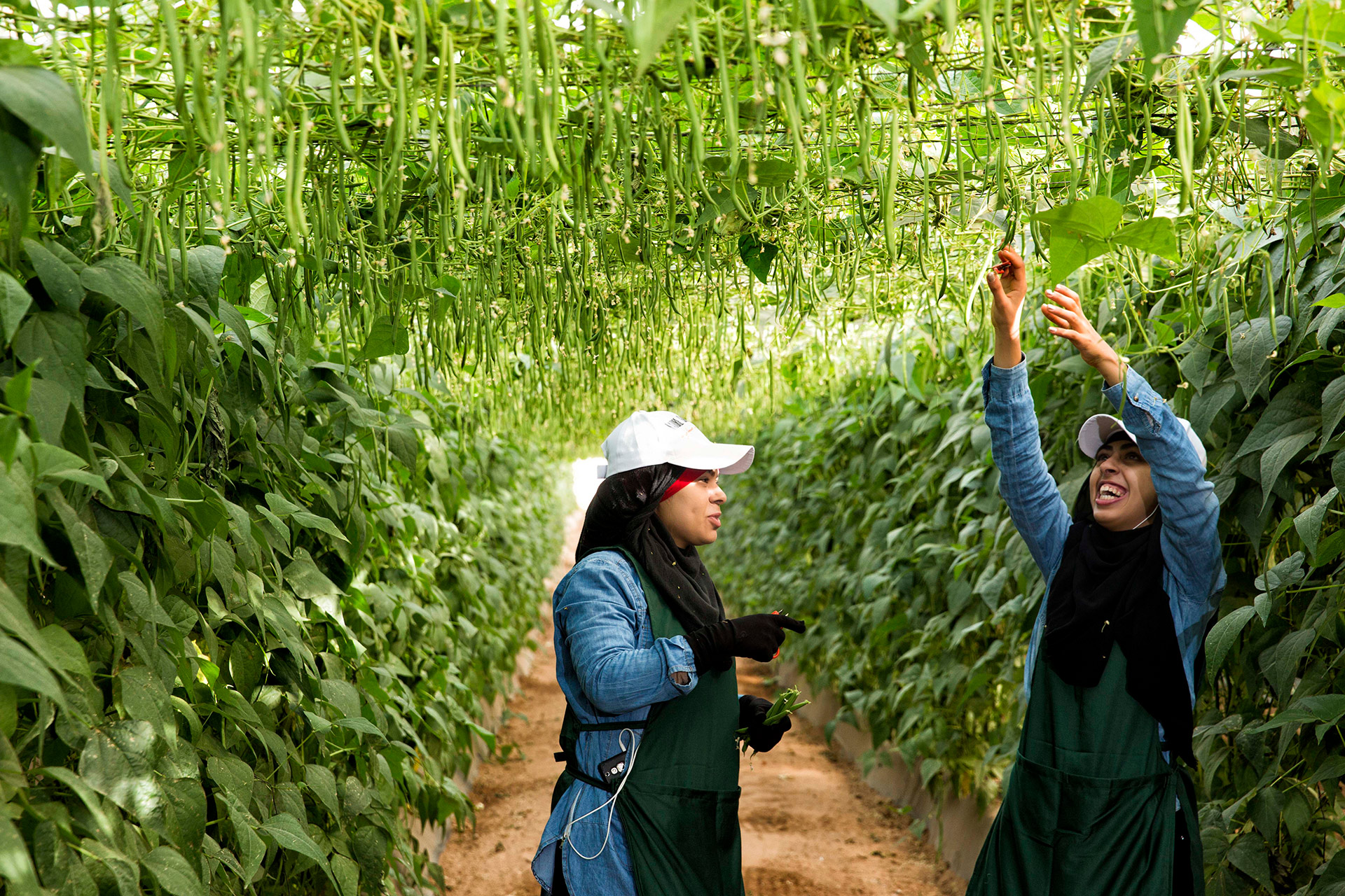 Empleadas de Agroatlas 