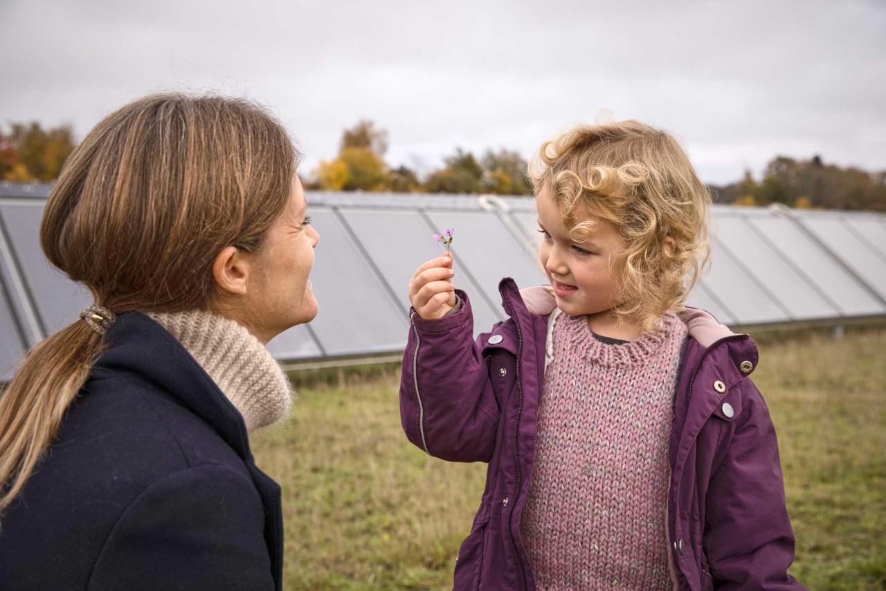 Mother and daughter having a cosy time with education and playfulness inside a solar panel farm in Denmark, Scandinavia.