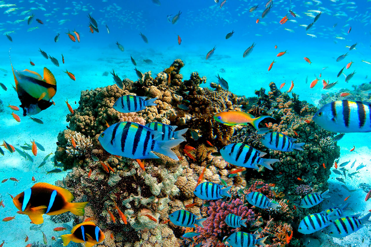 Reduce, reuse and recycle: simple routines to take a stand for the ...