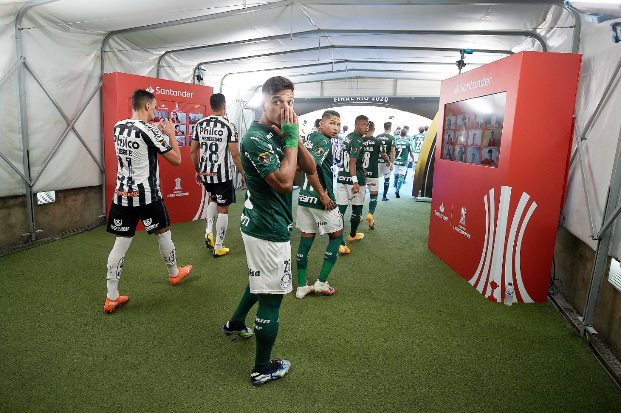 Santos and Palmeiras players 