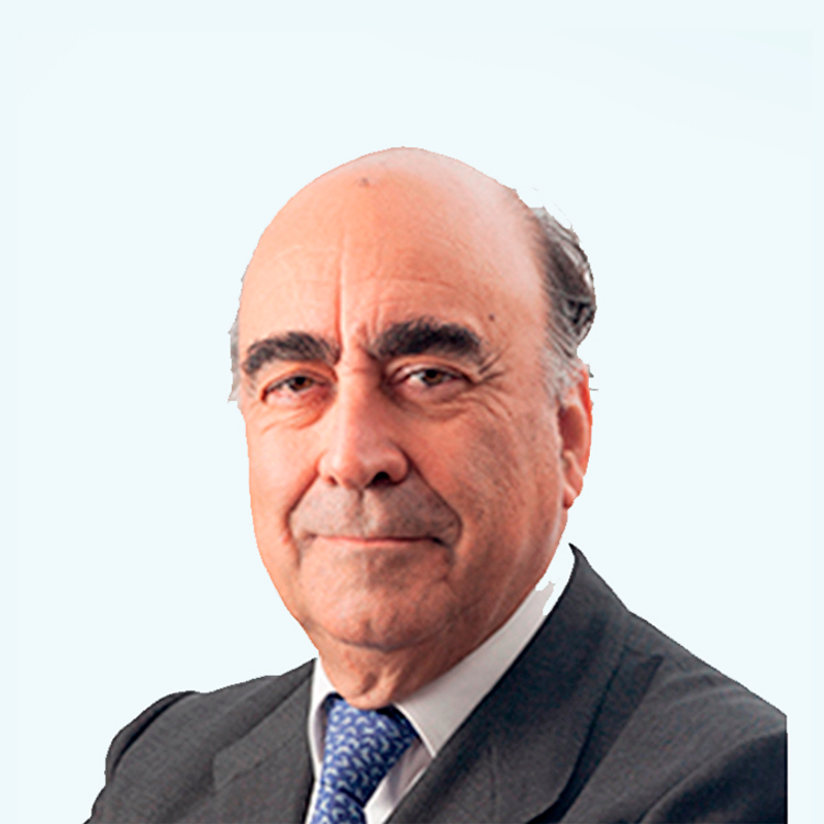 Mr. Ramiro Mato García-Ansorena